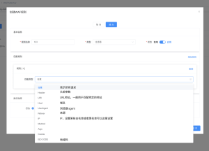 WAF规则设置说明